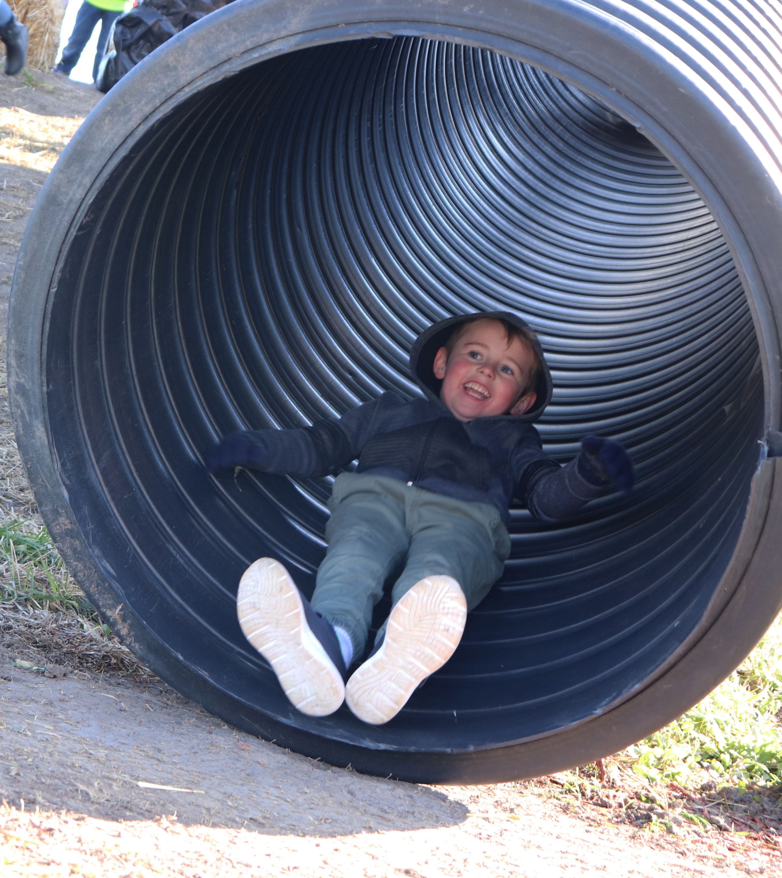 The kindergarten classes took a field trip to Windmill Acres Pumpkin Patch on October 23rd.